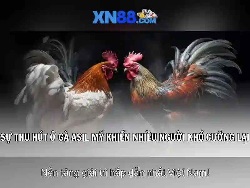 Giới thiệu về XN88