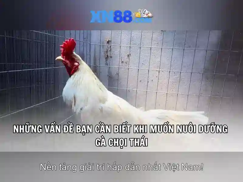 xn88 - Nền tảng trò chơi trực tuyến hiện đại