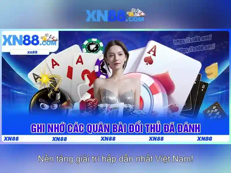 Kết luận và triển vọng
