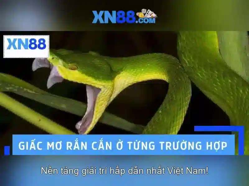 Trải nghiệm người dùng và phản hồi cộng đồng