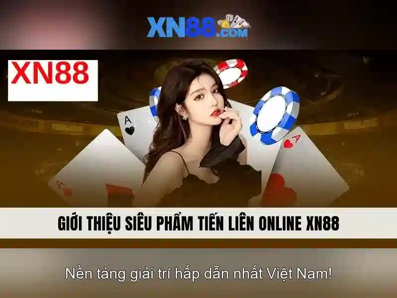 An toàn và giấy phép hoạt động