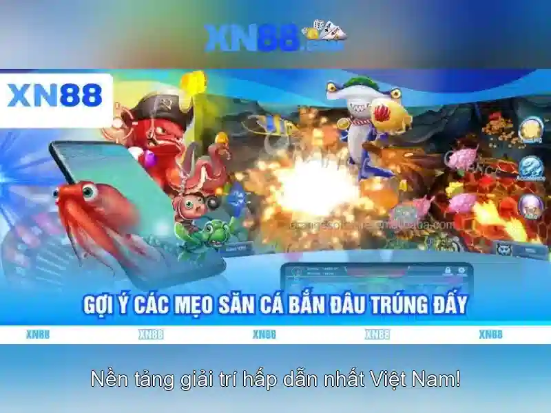 Kết luận
