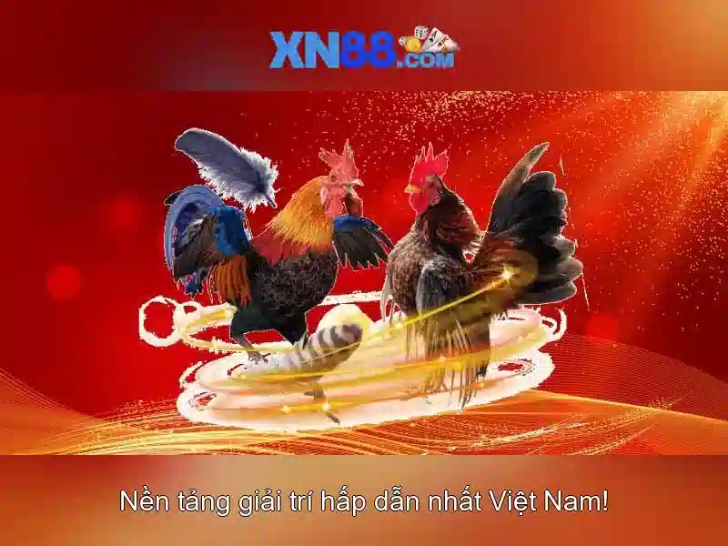xn88 ampleur.jp – Dấu ấn tối ưu cho trải nghiệm online
