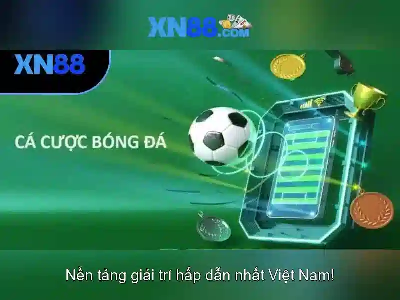 Danh mục và Dịch vụ nổi bật