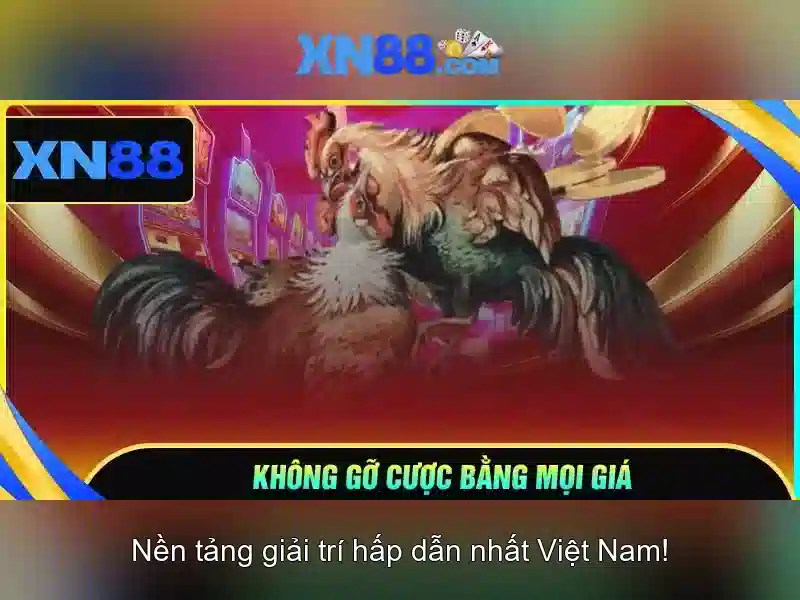 Các tính năng nổi bật của XN88