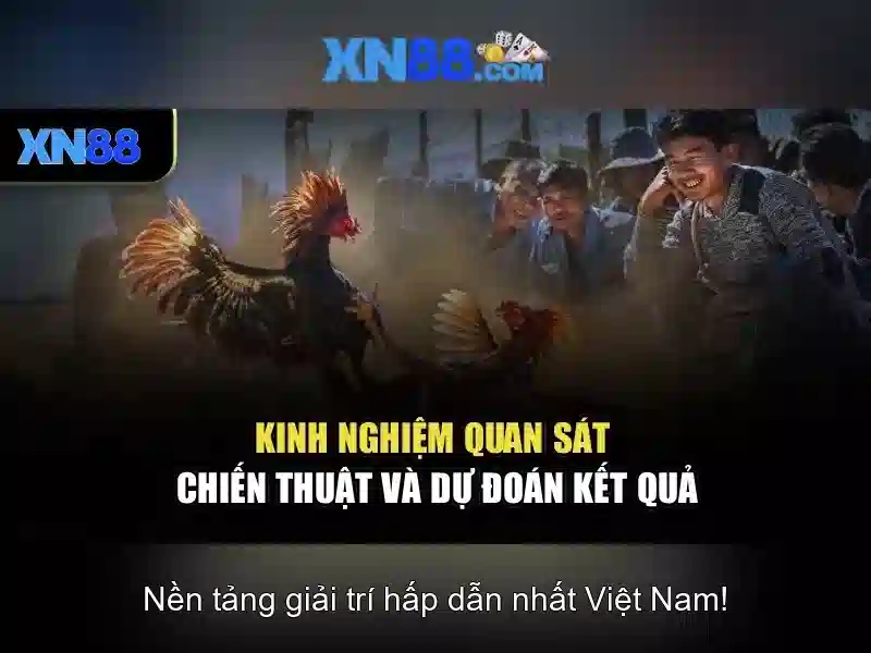 'Giới thiệu về xn88'