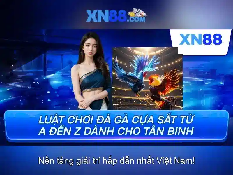 An toàn và chính sách
