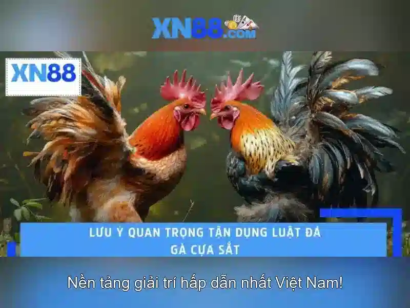xn88: Tổng quan về nền tảng cá cược trực tuyến nổi bật