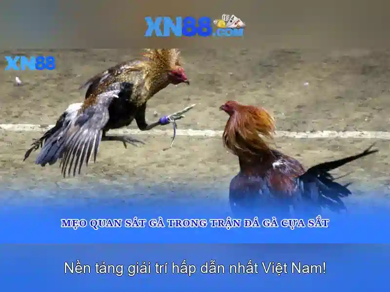 xn88: Nền tảng trò chơi trực tuyến và hành trình đổi mới