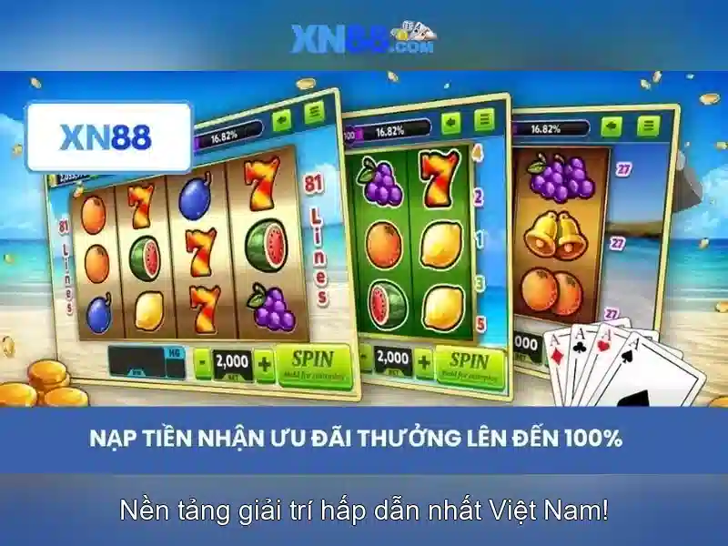 Giới thiệu về xn88