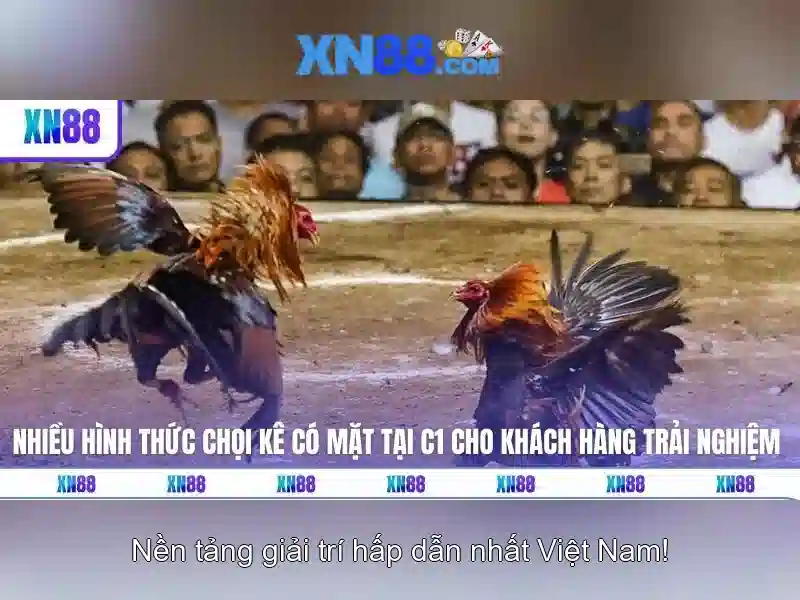 Hỗ trợ khách hàng và cộng đồng Hỗ trợ khách hàng và cộng đồng