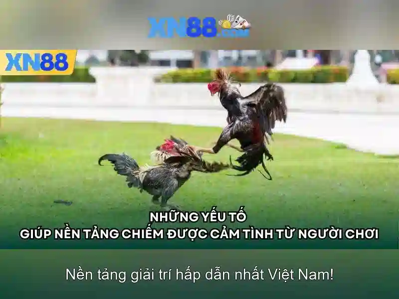 xn88: Nền tảng giải trí trực tuyến xn88: Nền tảng giải trí trực tuyến