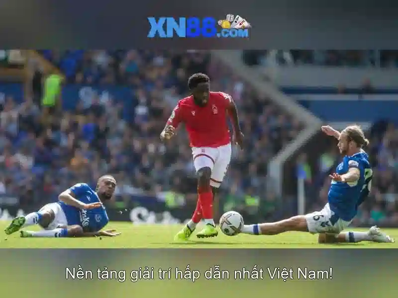 xn88: Nền tảng giải trí trực tuyến tin cậy
