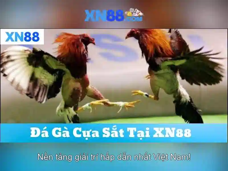 xn88: Đánh giá và khám phá nền tảng giải trí trực tuyến