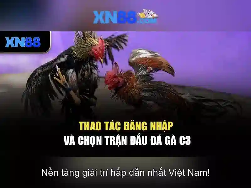 xn88: một cái nhìn tổng quan về nền tảng cược trực tuyến