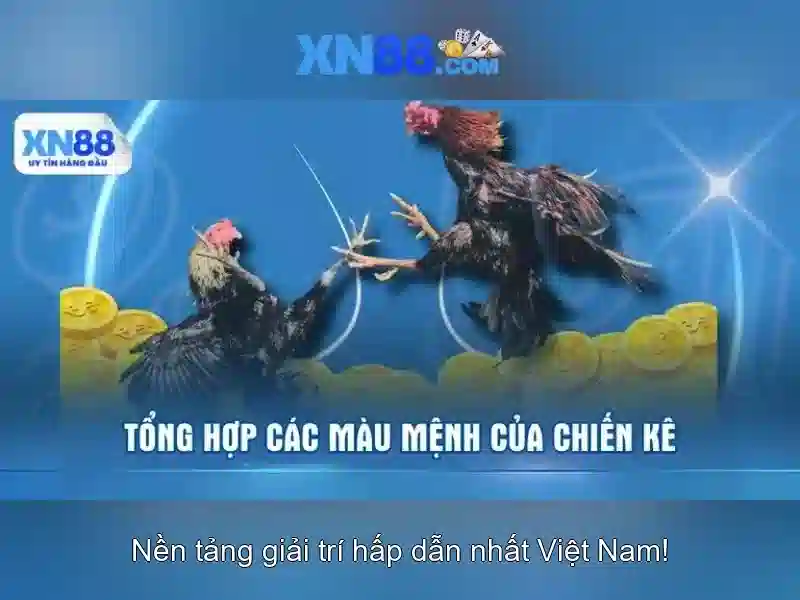 Khám phá tính năng chính