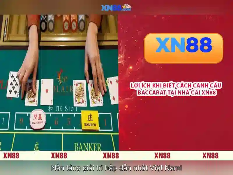xn88: Đánh giá nền tảng cược trực tuyến hàng đầu