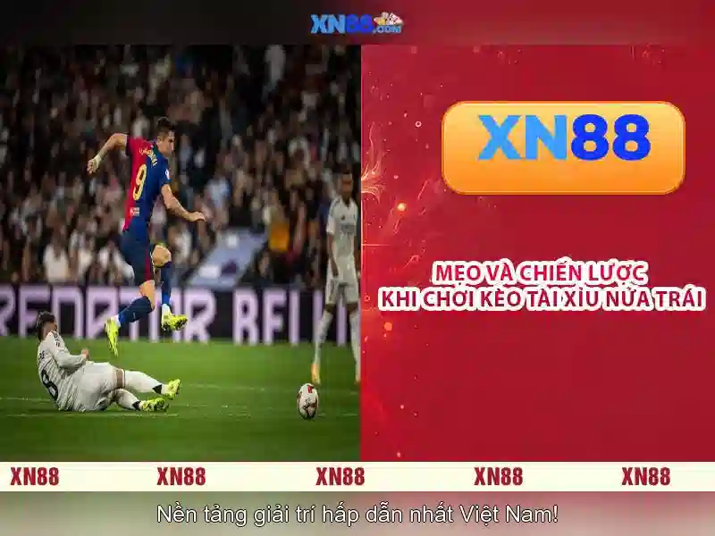 Giao diện và trải nghiệm người dùng