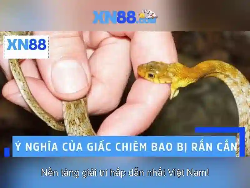 Giới thiệu xn88 Giới thiệu xn88