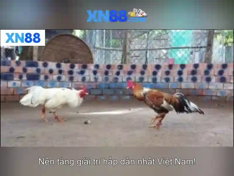 Lịch sử và sự phát triển