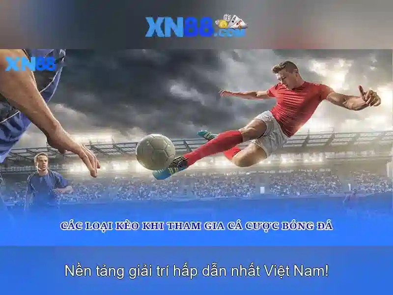 xn88. – Tổng quan chủ đề và giá trị cốt lõi