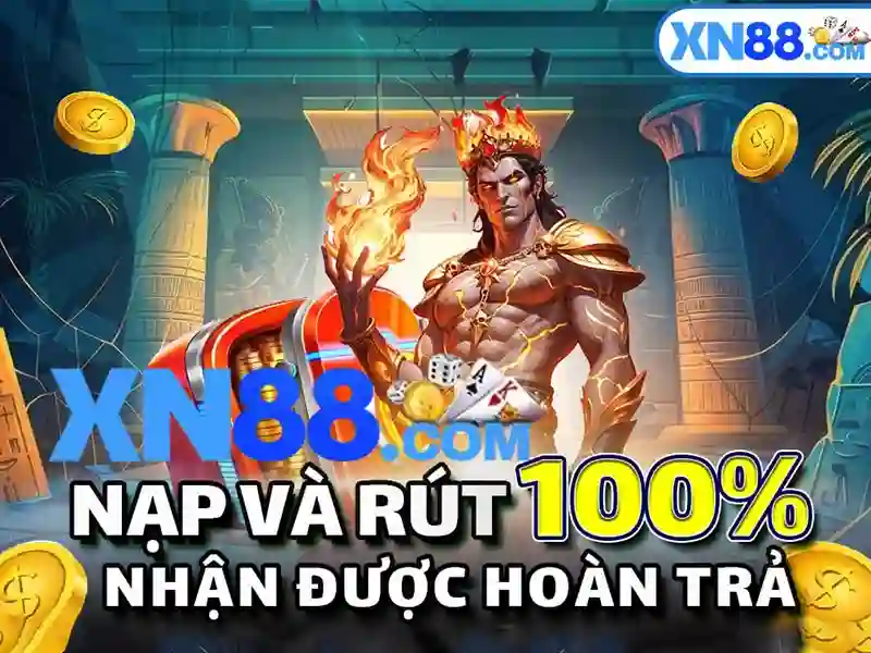 Giới thiệu về xn88