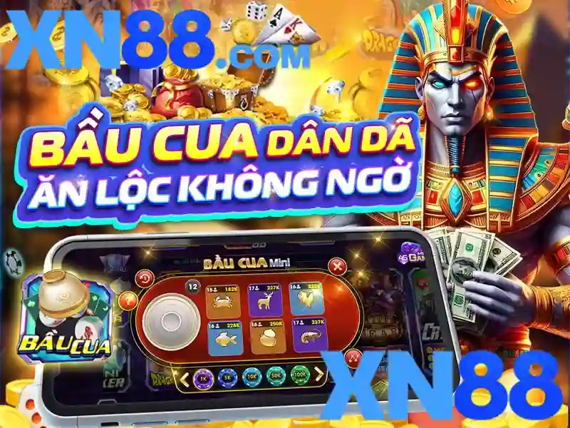 Hướng dẫn tham gia và lưu ý pháp lý Hướng dẫn tham gia và lưu ý pháp lý