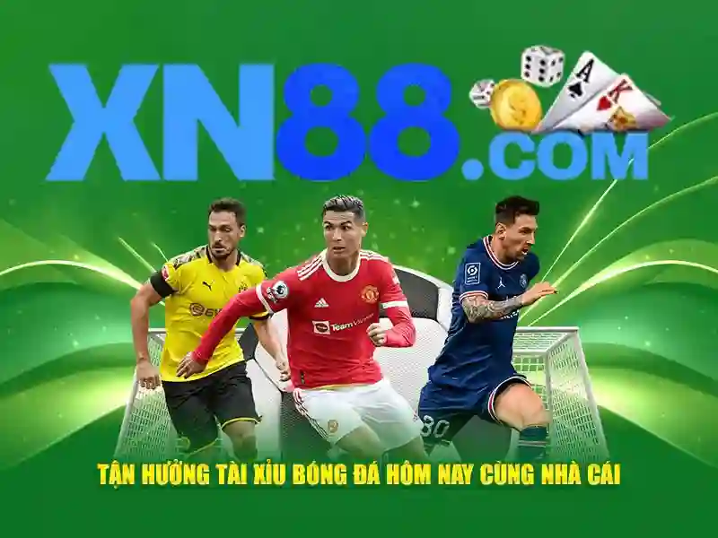 Khám phá các sản phẩm của xn88