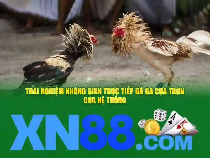 xn88 và sự phát triển của cá cược trực tuyến tại Việt Nam
